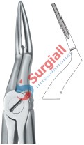 Tooth Ext Forceps