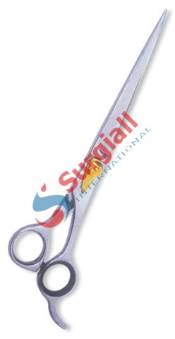 Professional Hair Cutting Scissor with razor edge. Satin Finish.