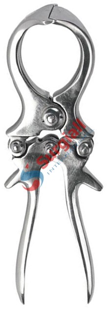 Bloodless Castrator for Lambs